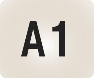 A1（N5~N4）