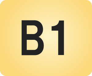 B1（N3~N2）